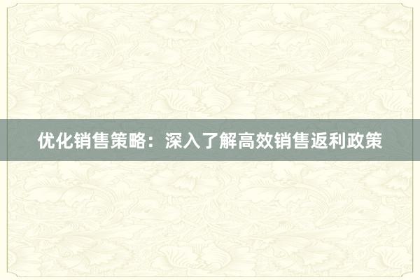 优化销售策略：深入了解高效销售返利政策